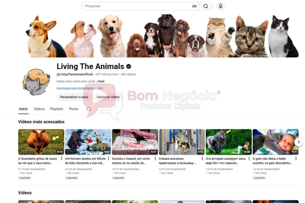 CANAL DO YOUTUBE DE 337K NÃO MONETIZADO - ANIMAIS (COD-598)
