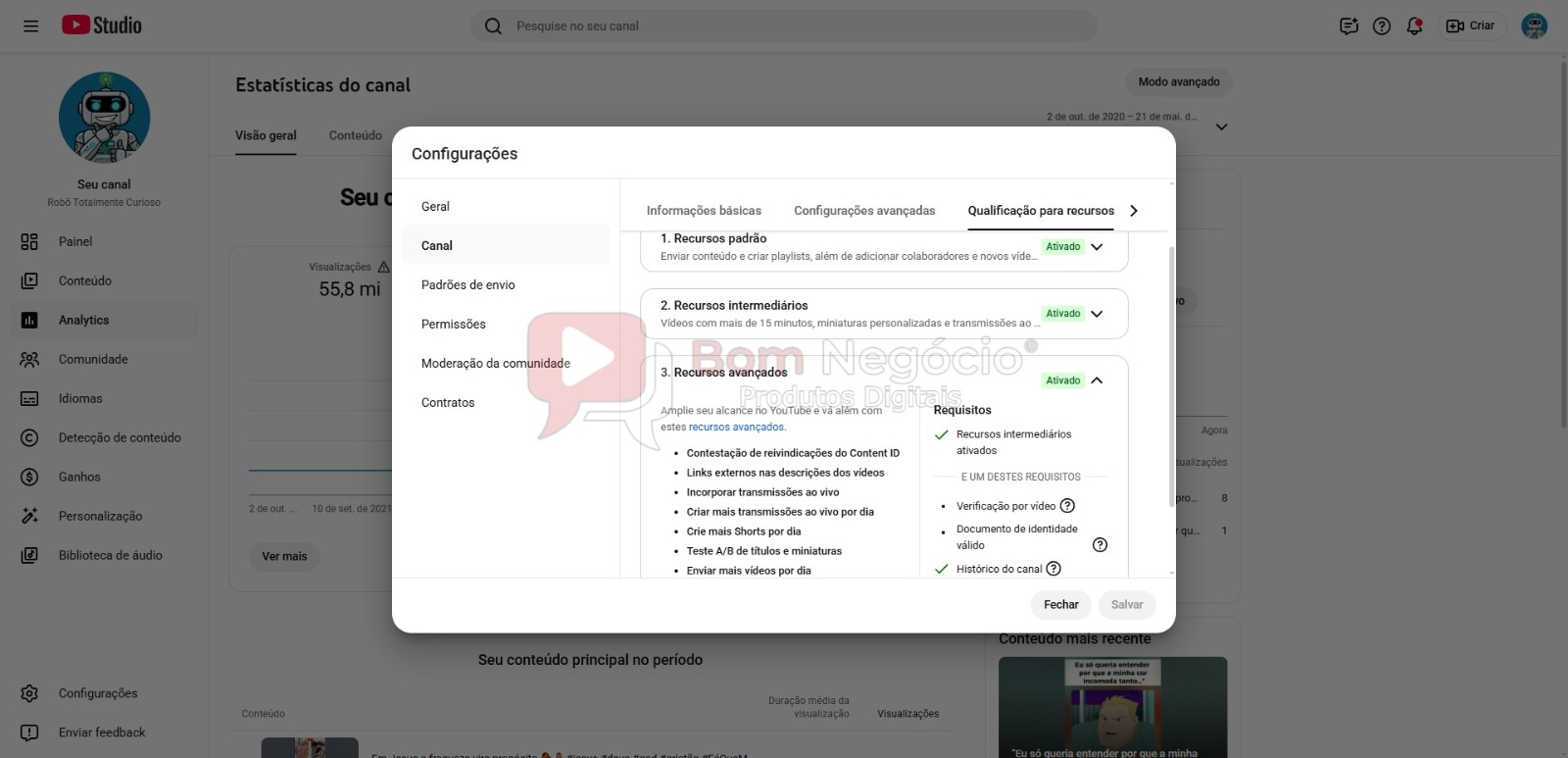 CANAL DO YOUTUBE DE 47K NÃO MONETIZADO - CURIOSIDADES (COD-503) - Imagem 4