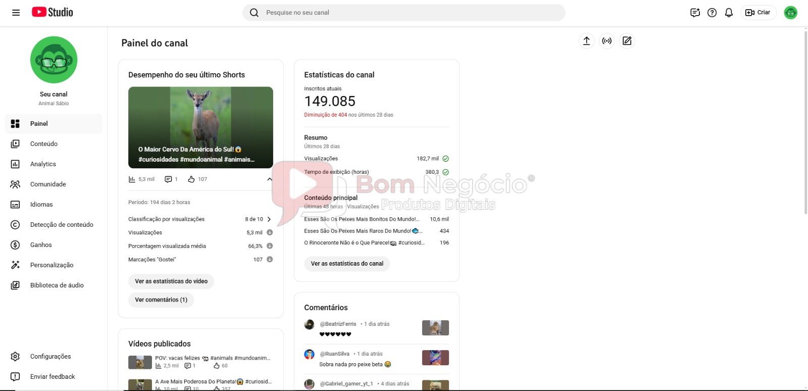 CANAL DO YOUTUBE DE 148K NÃO MONETIZADO - ANIMAIS (COD-513) - Imagem 2