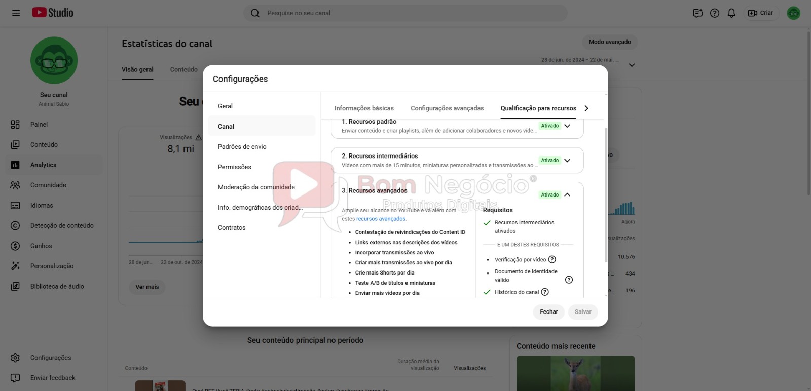CANAL DO YOUTUBE DE 148K NÃO MONETIZADO - ANIMAIS (COD-513) - Imagem 4