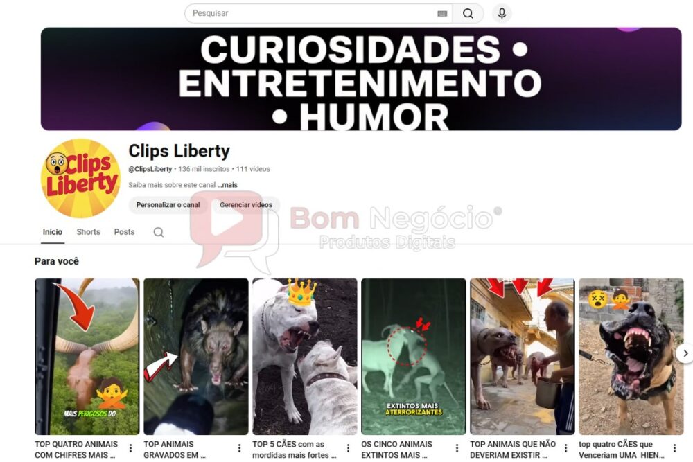 CANAL DO YOUTUBE DE 136K NÃO MONETIZADO - CURIOSIDADES (COD-517)