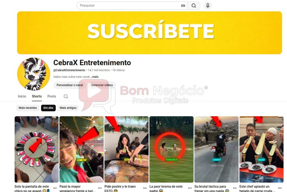 CANAL DO YOUTUBE DE 14K NÃO MONETIZADO - ENTRETENIMENTO (COD-568)