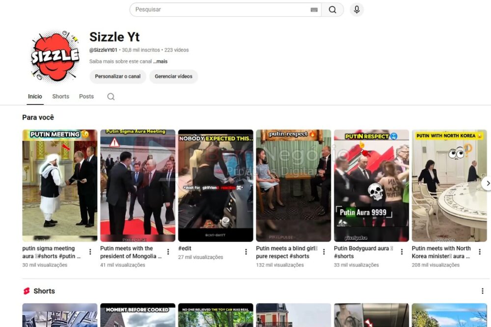 CANAL DO YOUTUBE DE 30K NÃO MONETIZADO - ENTRETENIMENTO (COD-591)
