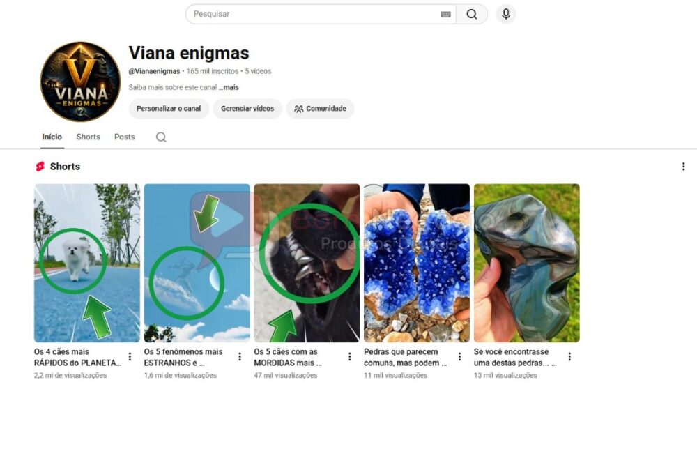 CANAL DO YOUTUBE DE 165K NÃO MONETIZADO - CURIOSIDADES (COD-623)