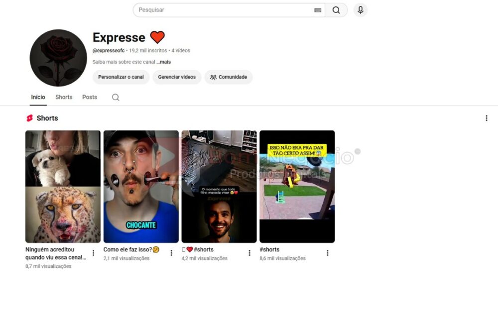 CANAL DO YOUTUBE DE 19K NÃO MONETIZADO - ENTRETENIMENTO (COD-644)