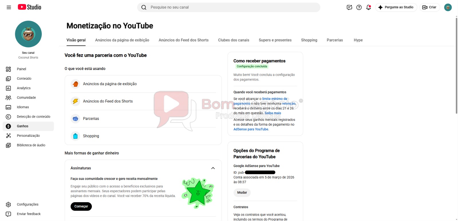 CANAL DO YOUTUBE DE 31K MONETIZADO - CURIOSIDADES (COD-657) - Imagem 4