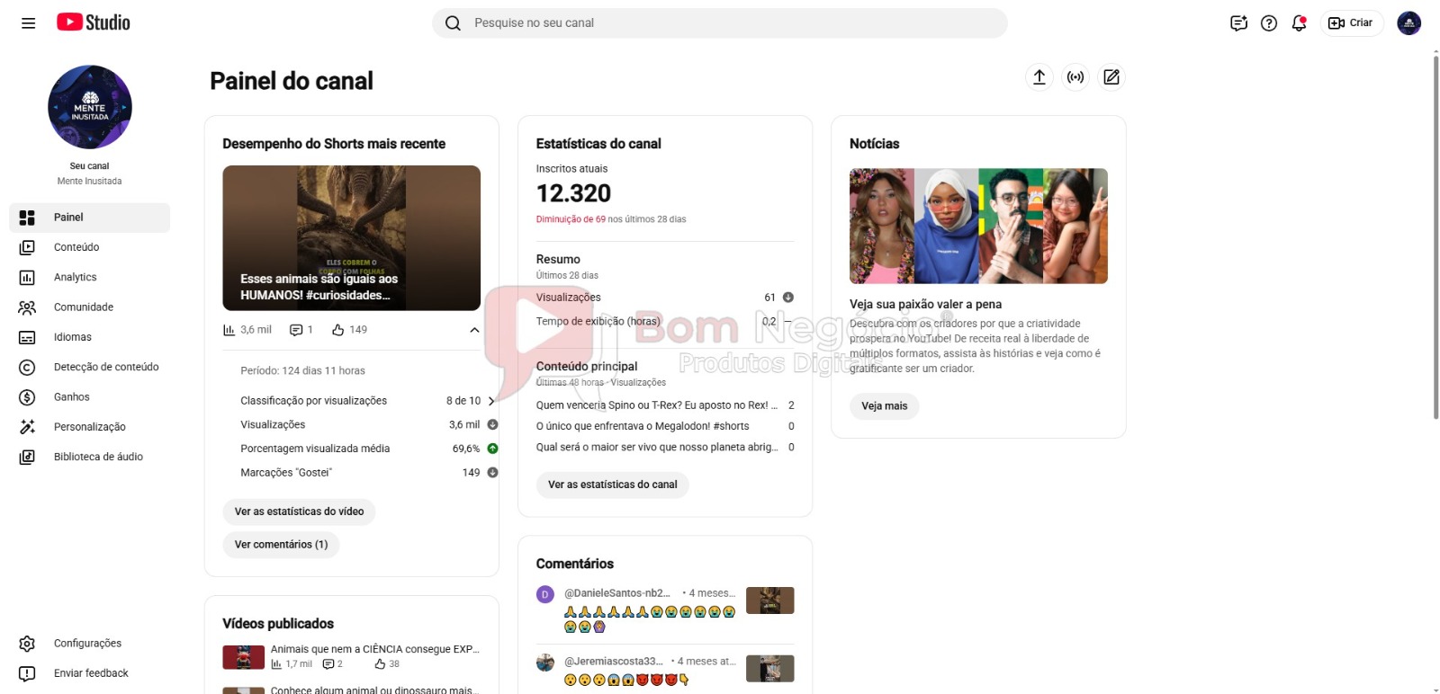 CANAL DO YOUTUBE DE 12K NÃO MONETIZADO - CURIOSIDADES (COD-669) - Imagem 2