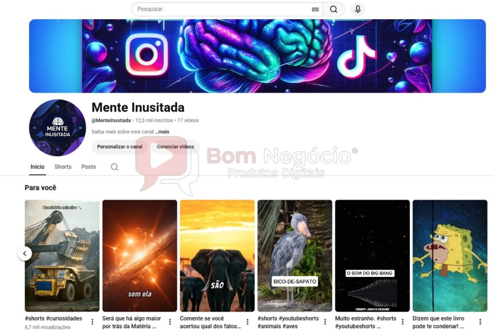 CANAL DO YOUTUBE DE 12K NÃO MONETIZADO - CURIOSIDADES (COD-669)