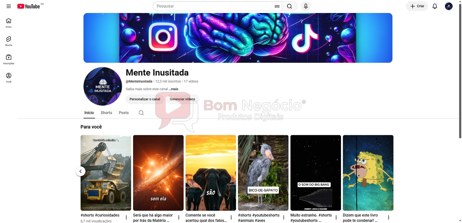 CANAL DO YOUTUBE DE 12K NÃO MONETIZADO - CURIOSIDADES (COD-669)