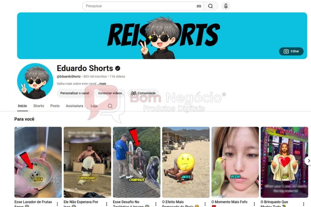 CANAL DO YOUTUBE DE 800K MONETIZADO - ENTRETENIMENTO (COD-686)